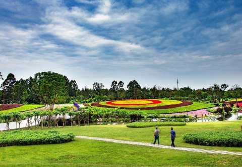 赛后成都蓉城临场应变——社区盾节点到来,话题不断,数据趋势出现新变化 赛后成都蓉城临场应变——社区盾节点到来,话题不断,数据趋势出现新变化